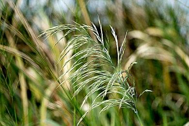 金亨泰拜访《黑神话：悟空》《影之刃零》团队